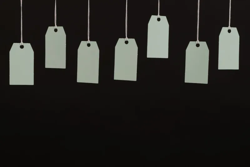 The Sticker Peel: A Survivor's Taxonomy of Betrayal, Residue, and the Specific Grief of a Shredded Corner